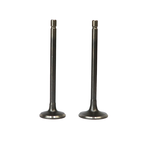 SET DE VALVULAS ADM/ESC AN125 KIMTEC