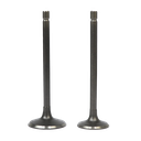 SET D/VALVULAS ADM/ESC TIPO GY200 KIMTEC