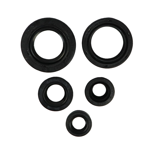 SET DE RETENEDORES DE MOTOR PULSAR 180UG