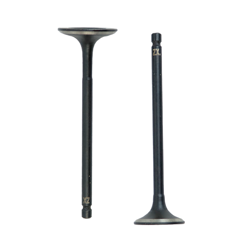 SET DE VALVULAS DE ADM/ESC BAJAJ XCD125