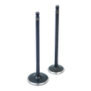 SET DE VALVULAS DE ADM/ESC DISCOVER 125