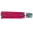 SET DE RAYOS TRAS/DELANT SUZUKI AX100 RO