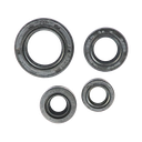 SET DE RETENEDORES BAJAJ XCD/PLATINA 125