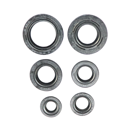 SET DE RETENEDORES DE MOTOR CT100 BAJAJ