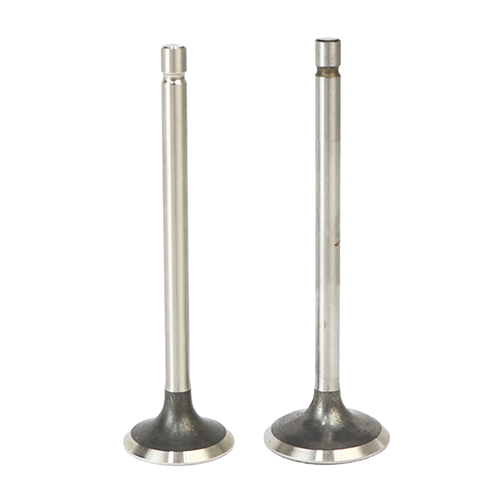 [1291220E00_J] VALVULA DE ESCAPE SUZUKI AN125HK TKRJ