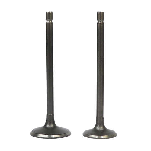 [14711/14721GY200_K] SET D/VALVULAS ADM/ESC TIPO GY200 KIMTEC