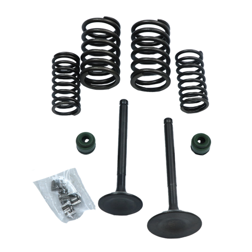 [JL511010/11] SET D/ VALVULAS ADM/ESC BAJAJ PULSAR NS2