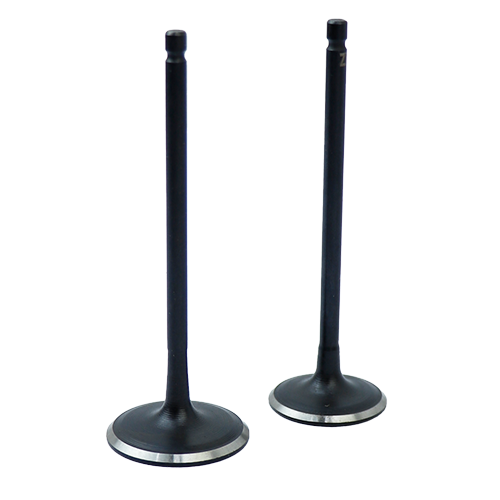 [36DJ1004] SET DE VALVULAS DE ADM/ESC PULSAR 180UG4