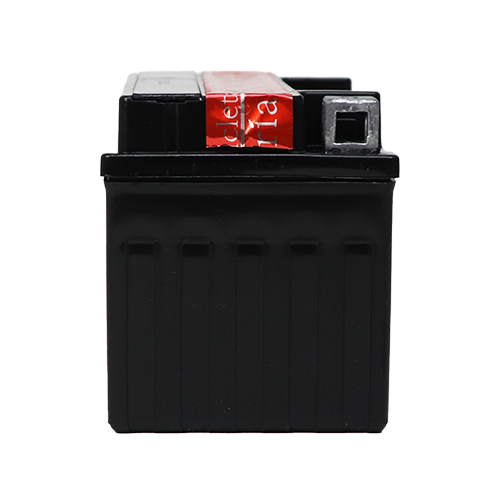 Lateral derecho 500.png