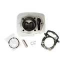 12100CBB25070_K AEREA 500.png