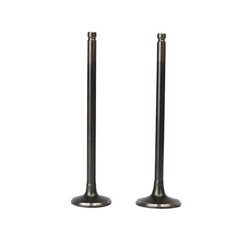 SET DE VALVULAS DE ADM/ESC GN125H/F