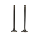 SET DE VALVULAS DE ADM/ESC GN125H/F