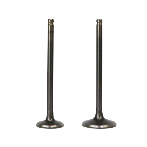 SET DE VALVULAS ADM/ESC GIXXER 155