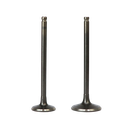 SET DE VALVULAS ADM/ESC GIXXER 155