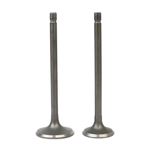 SET DE VALVULAS ADM/ESC JIALING JH125-II