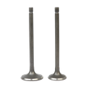 SET DE VALVULAS ADM/ESC JIALING JH125-II