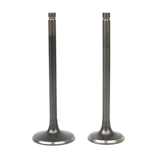 SET VALVULAS ADM/ESC HONDA XL200/CRF230