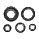 SET DE RETENEDORES DE MOTOR DISCOVER 150