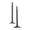 SET D/VALVULAS ADM/ESC HONDA CGL125 VORM