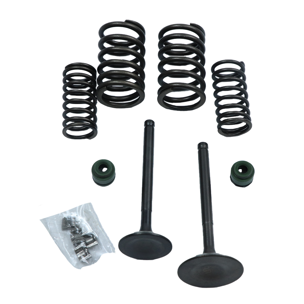 SET D/ VALVULAS ADM/ESC BAJAJ PULSAR NS2