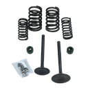 SET D/ VALVULAS ADM/ESC BAJAJ PULSAR NS2