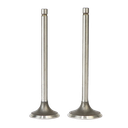 VALVULA DE ESCAPE DR125 SUZUKI JAPON