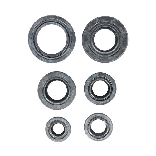 SET DE RETENEDORES DE MOTOR BM1OO BAJAJ