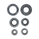 SET DE RETENEDORES DE MOTOR BM1OO BAJAJ