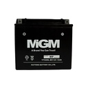 BATERIA YTX20L-BS MGM