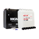 BATERIA YTX16-BS MGM