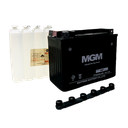 BATERIA YTX24HL-BS MGM