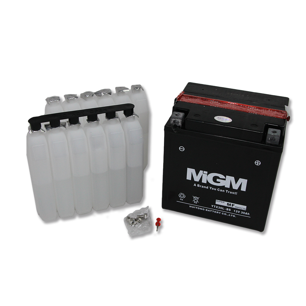 BATERIA YTX30L-BS MGM