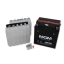 BATERIA YTX30L-BS MGM