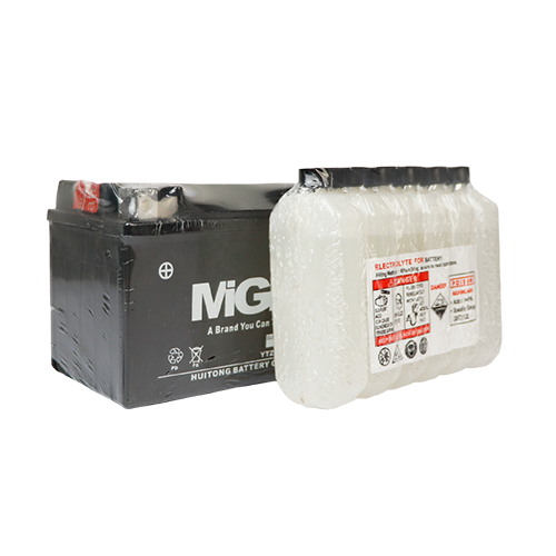 BATERIA YTZ14S MGM