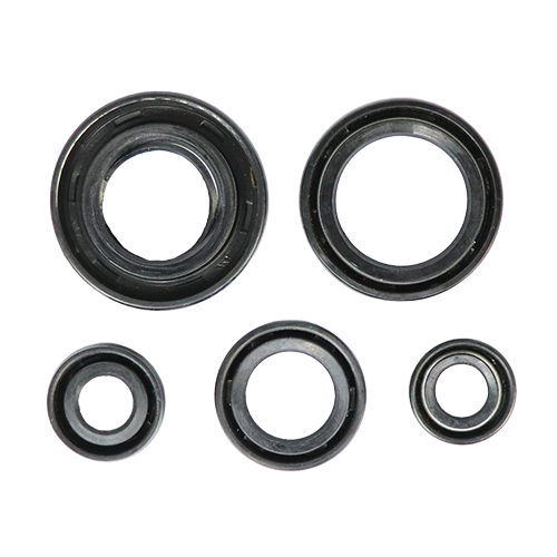 [39171519DIS] SET DE RETENEDORES DE MOTOR DISCOVER 150