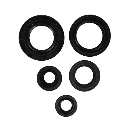 [DJ181087_DISC125] SET DE RETENEDORES DE MOTOR DISCOVER 125