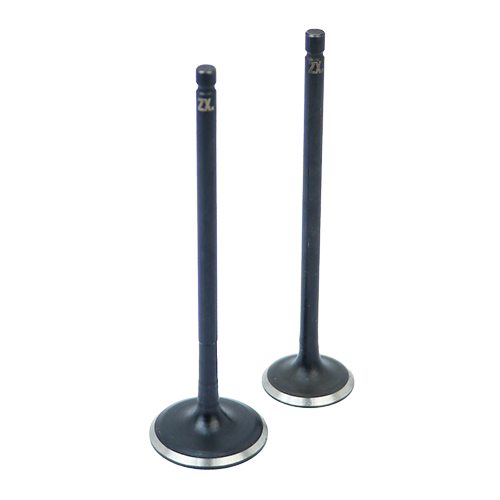 [36DS1002] SET DE VALVULAS DE ADM/ESC DISCOVER 125