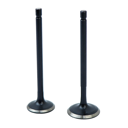 [36JA0002] SET VALVULAS ADMI/ESC BAJAJ PLATINA 100