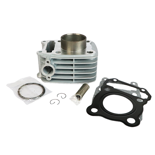 [DS101360_K] KIT CILINDRO/PISTON DISCOVER 125 2VALVUL